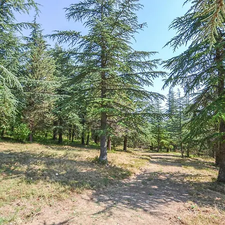 Holiday home Soc,agr,il S,,s Apecchio
